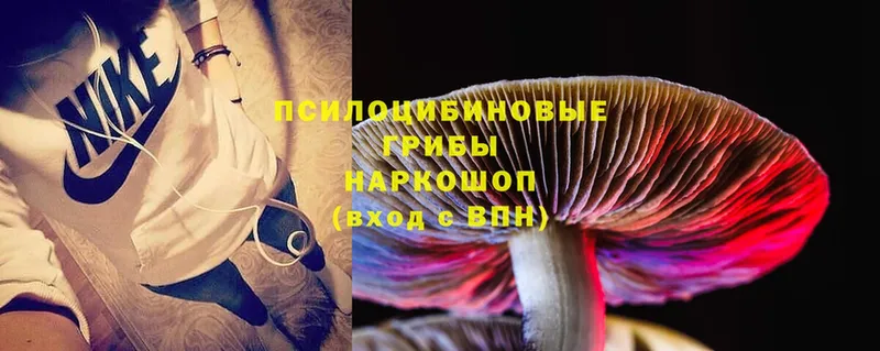 Галлюциногенные грибы Magic Shrooms Кудымкар